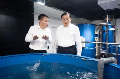 王忠林調研民營企業發展并召開座談會 深化技術推廣服務，激發民營經濟新動能